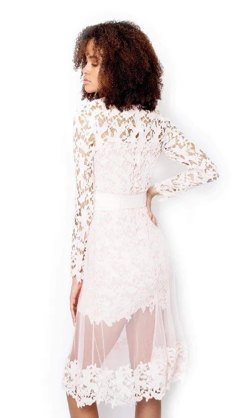 Gorgeous Pastel Pink lace & tulle pencil party cocktail pencil long lace dress - Calithea