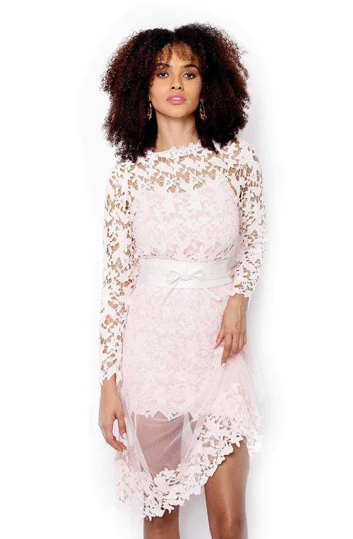 Gorgeous Pastel Pink lace & tulle pencil party cocktail pencil long lace dress - Calithea